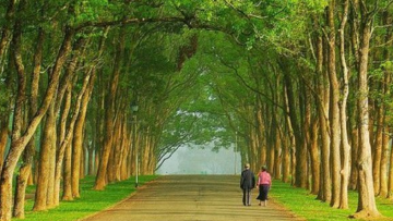 Người càng có phúc càng biết cách sống chậm