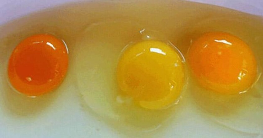 Lòng đỏ trứng màu vàng và cam, cái nào bổ dưỡng hơn?