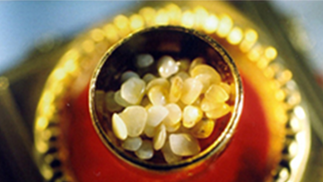 Xá lợi Phật rốt cuộc là gì Vì sao nung nghìn độ không tan chảy-1 (2)