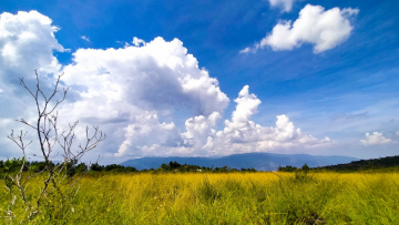 phục hồi chỉ số hạnh phúc