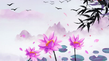 Sức mạnh của ngôn ngữ- Chỉ viết 1 câu lên tấm biển, cô gái giúp lão ăn mày xin được đầy hộp tiền-1