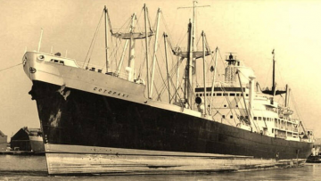 Nguồn ảnh: nld.com