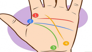 Nguồn ảnh: ngayam