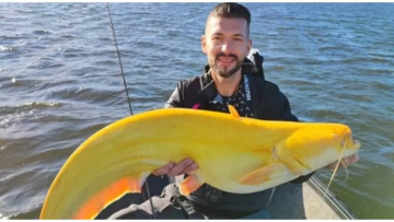 Untitled-1-Recovered