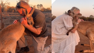 Kangaroo được giải cứu mỗi ngày đều ôm các tình nguyện viên thay lời cảm ơn