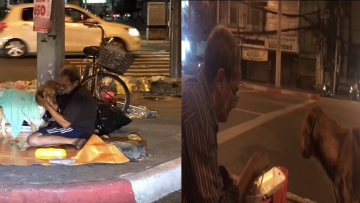 Hình ảnh cụ ông vô gia cư nhường áo và đồ ăn cho chú chó lang thang khiến nhiều người cảm động