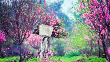 dau-nam-noi-chuyen-tu-te