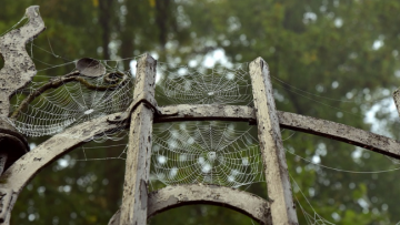 dục vọng là thứ đáng sợ nhất