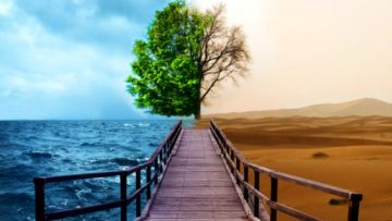 dung-qua-voi-vang (1)