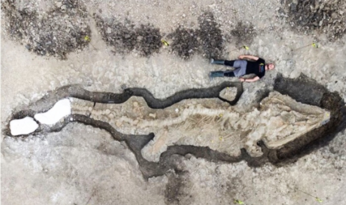 Phát hiện hóa thạch “rồng biển” dài hơn 10m