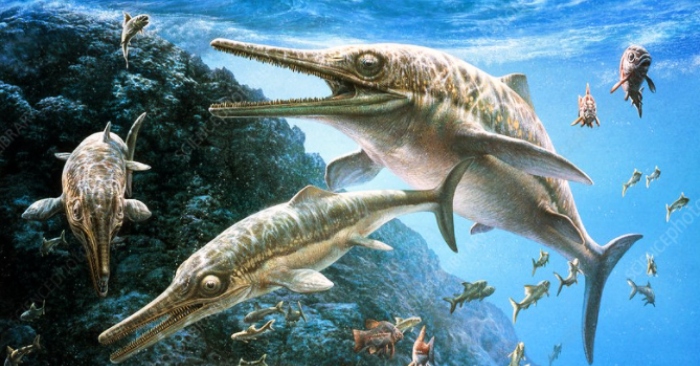 Khám phá bí ẩn: hóa thạch rồng biển tại Anh dài hơn 10m