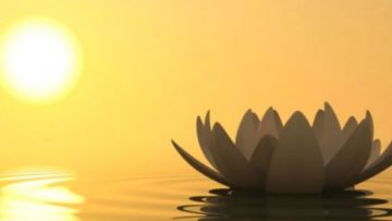 khoan-dung-la-mot-canh-gioi (2)