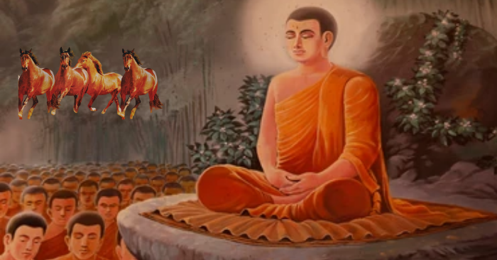 Lời dạy của Đức Phật Thích Ca về “4 loại ngựa”