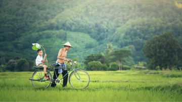 Mang gì về cho cha mẹ 1